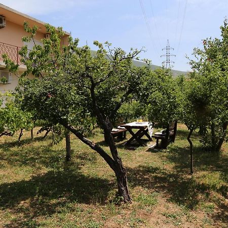 Garden House Apartment Trebinje Kültér fotó